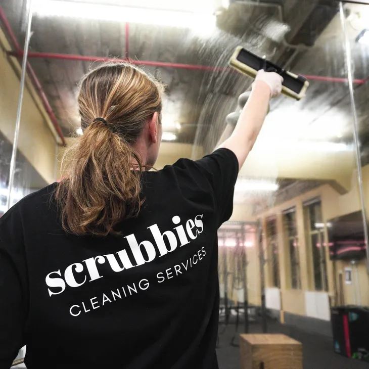 Scrubbies cleaner cleaning gym mirrors